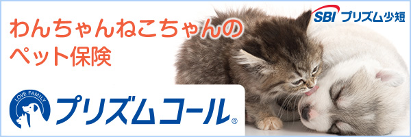 わんちゃん ねこちゃんのペット保険