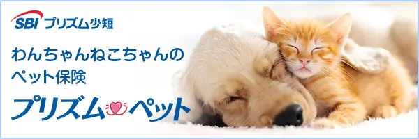 わんちゃん ねこちゃんのペット保険
